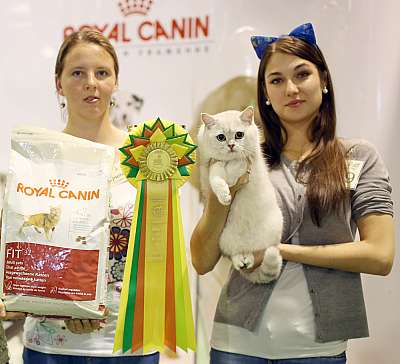 �������� ����� '���-�����-��������' 20-21 �������� 3-229-169A2513 copy.jpg